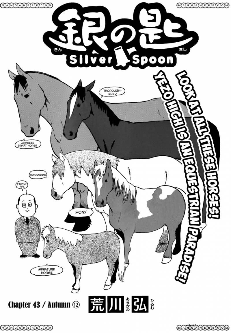 Chapter 43 image 3